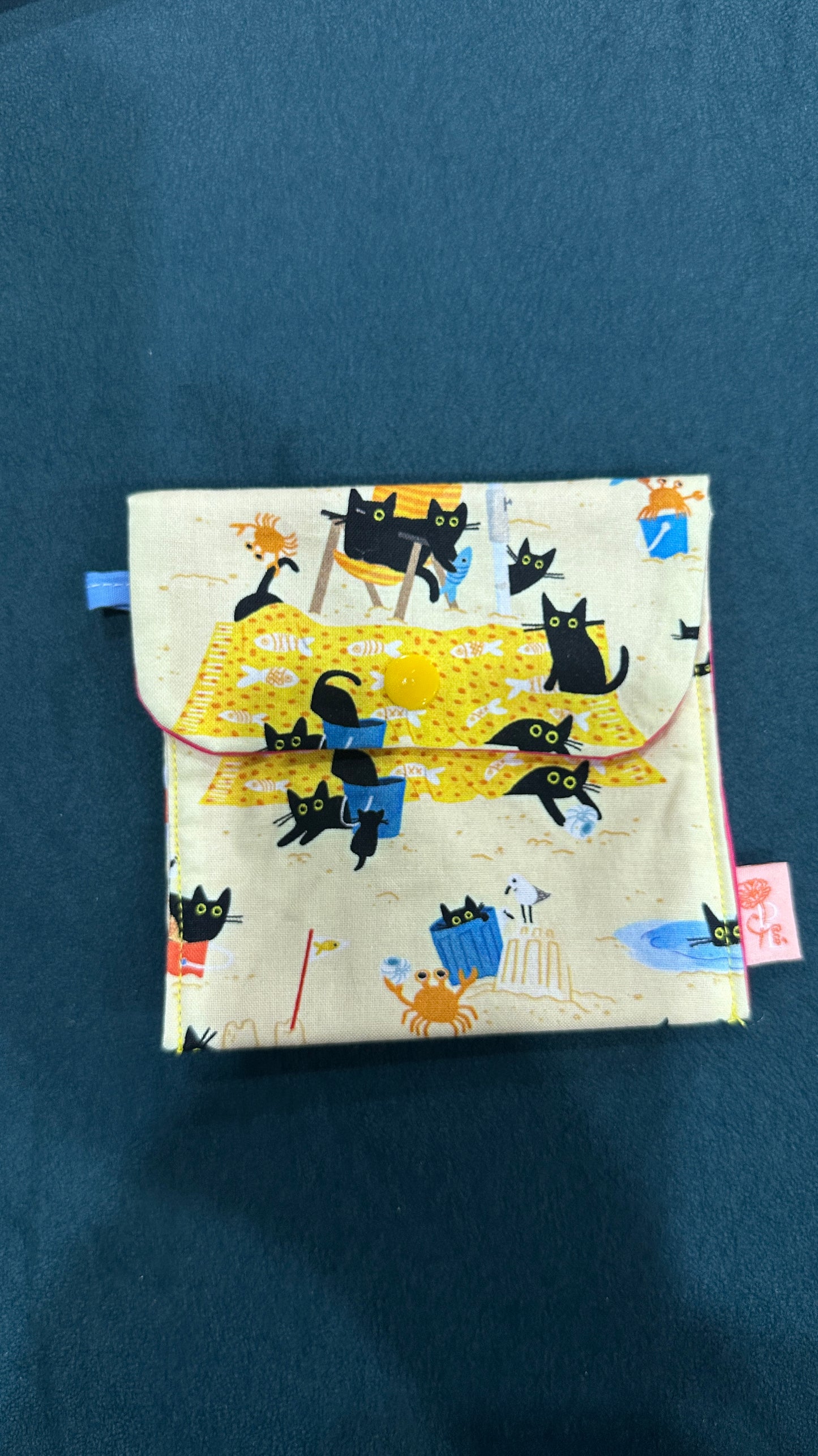 Cats on the beach