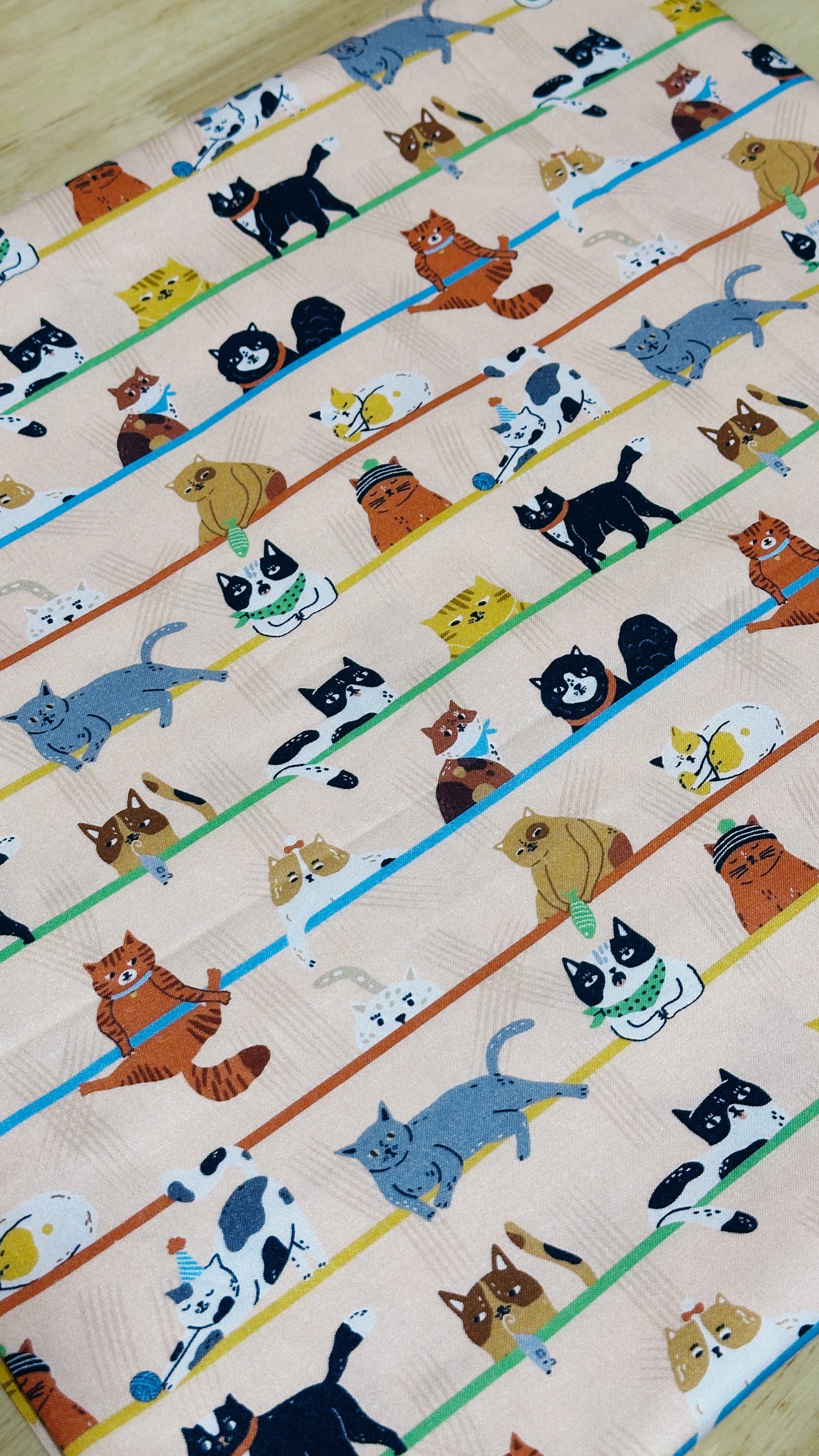 By Design: Cats Chillin / Avocado