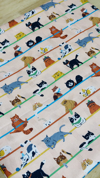 By Design: Cats Chillin / Avocado