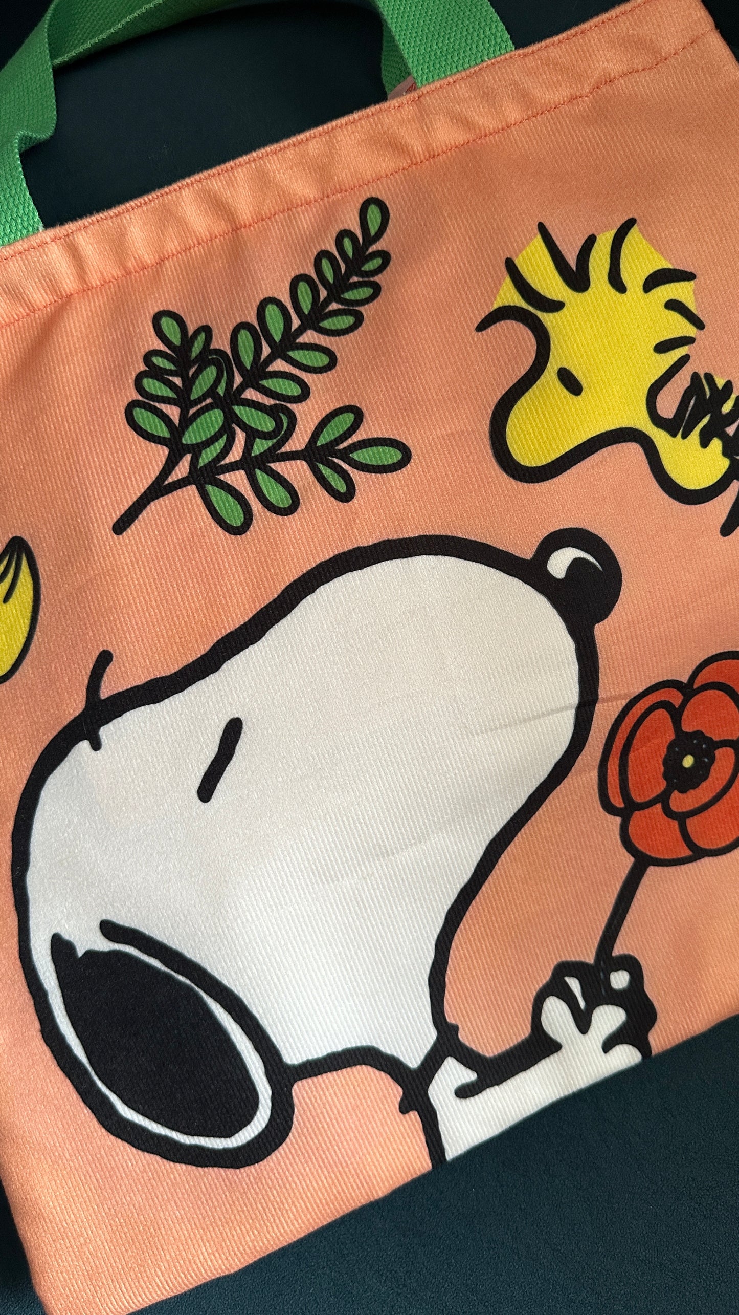 08/05 Poppy Blooms: Poppy Snoopy Pillowcase Tote Bag